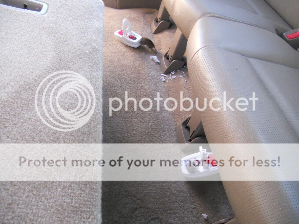 Best way to get rid of mice? Autopia ForumAuto Detailing & Car Care